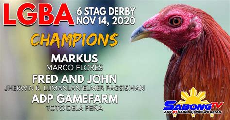 sabong tv|sabong derby 2020 full video.